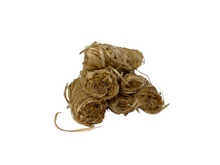 Load image into Gallery viewer, Ignis Fire Starters